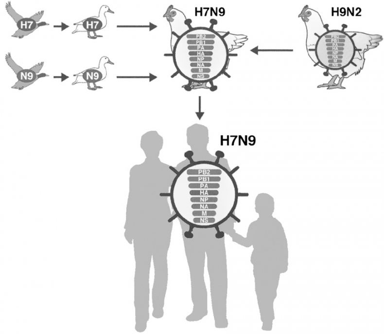 Иллюстрация к книге — Вирусы и эпидемии в истории мира. Прошлое, настоящее и будущее [i_039.jpg]