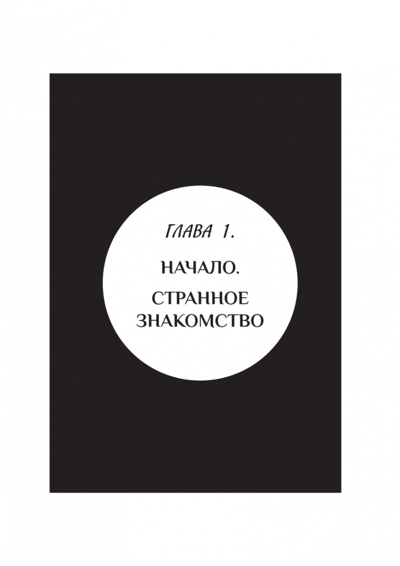 Иллюстрация к книге — Фейерверк волшебства [_0.jpg]