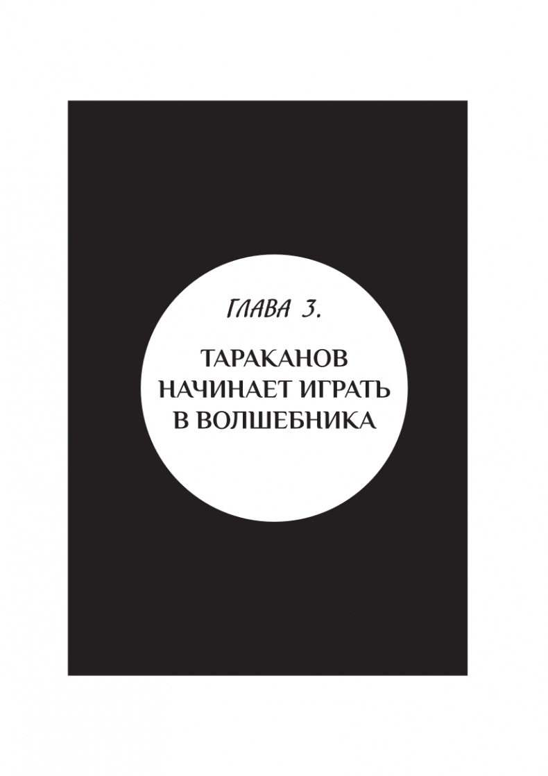 Иллюстрация к книге — Фейерверк волшебства [_2.jpg]