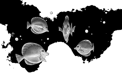 Иллюстрация к книге — Друг или враг? [_005.jpg]