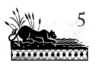 Иллюстрация к книге — Беглецы [i_013.jpg]