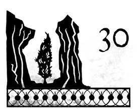 Иллюстрация к книге — Беглецы [i_066.jpg]