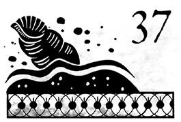 Иллюстрация к книге — Беглецы [i_078.jpg]