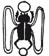 Иллюстрация к книге — Мифы Древнего Египта [i_008.jpg]