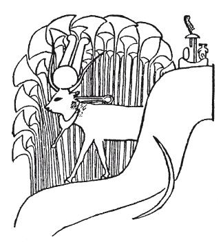 Иллюстрация к книге — Мифы Древнего Египта [i_029.jpg]