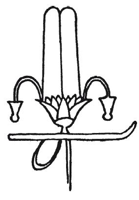 Иллюстрация к книге — Мифы Древнего Египта [i_149.jpg]