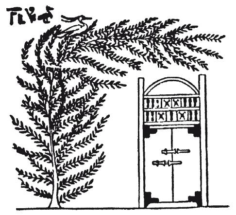 Иллюстрация к книге — Мифы Древнего Египта [i_183.jpg]