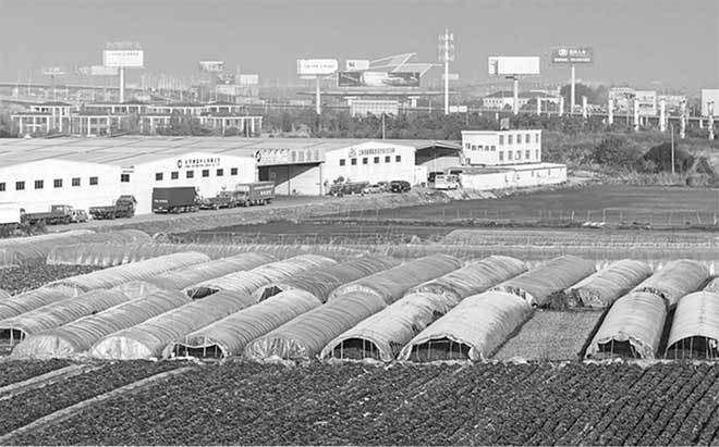 Иллюстрация к книге — Боевая экология. Как Greenpeace, WWF и другие международные экологические организации подрывают развитие России [i_014.jpg]