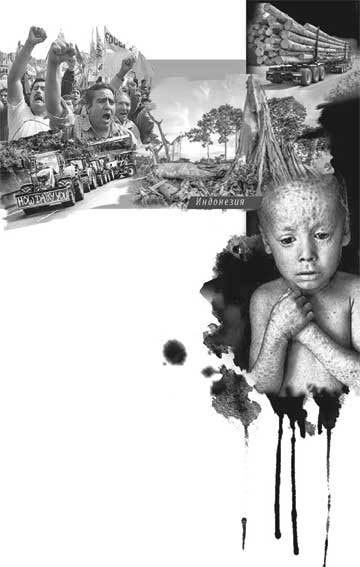 Иллюстрация к книге — Боевая экология. Как Greenpeace, WWF и другие международные экологические организации подрывают развитие России [i_018.jpg]