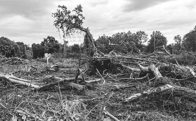 Иллюстрация к книге — Боевая экология. Как Greenpeace, WWF и другие международные экологические организации подрывают развитие России [i_023.jpg]