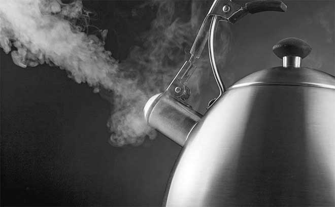 Иллюстрация к книге — Боевая экология. Как Greenpeace, WWF и другие международные экологические организации подрывают развитие России [i_029.jpg]