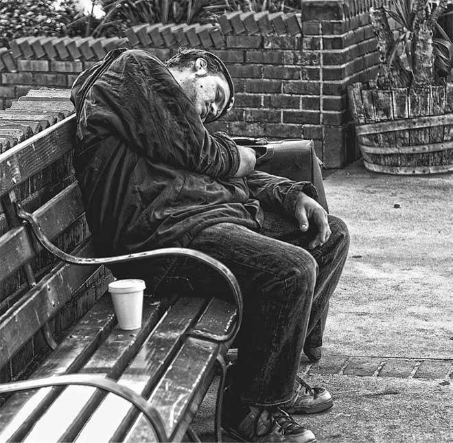 Иллюстрация к книге — Боевая экология. Как Greenpeace, WWF и другие международные экологические организации подрывают развитие России [i_033.jpg]