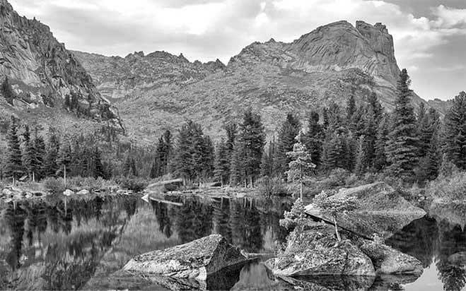 Иллюстрация к книге — Боевая экология. Как Greenpeace, WWF и другие международные экологические организации подрывают развитие России [i_068.jpg]