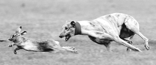 Иллюстрация к книге — Китайские притчи [i_017.jpg]