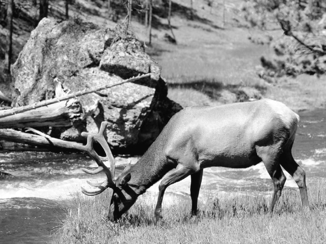 Иллюстрация к книге — Китайские притчи [i_019.jpg]