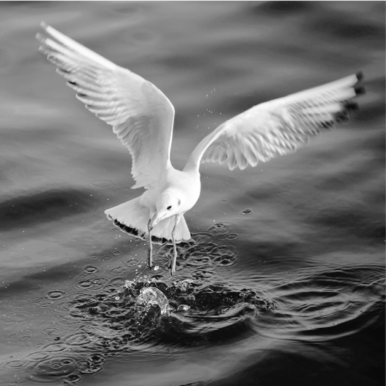 Иллюстрация к книге — Китайские притчи [i_020.jpg]