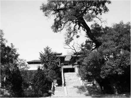 Иллюстрация к книге — Китайские идиомы [i_043.jpg]