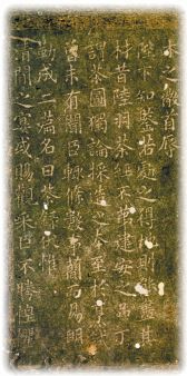 Иллюстрация к книге — История чая [i_004.jpg]