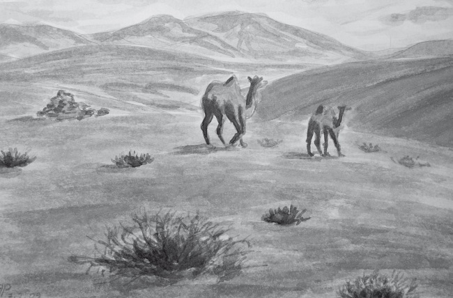 Иллюстрация к книге — Сияющий Алтай. Горы, люди, приключения [i_004.jpg]