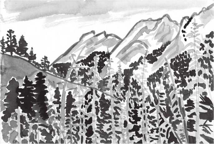 Иллюстрация к книге — Сияющий Алтай. Горы, люди, приключения [i_060.jpg]