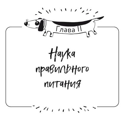 Иллюстрация к книге — Разумное собаководство. Советы ветеринара, как воспитать и вырастить щенка здоровым [i_008.jpg]