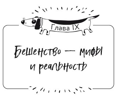 Иллюстрация к книге — Разумное собаководство. Советы ветеринара, как воспитать и вырастить щенка здоровым [i_059.jpg]