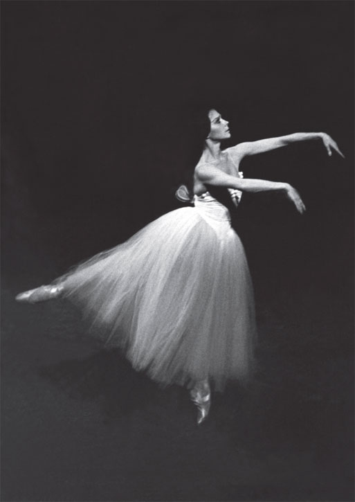 Иллюстрация к книге — Мадам «Нет» [i_013.jpg]