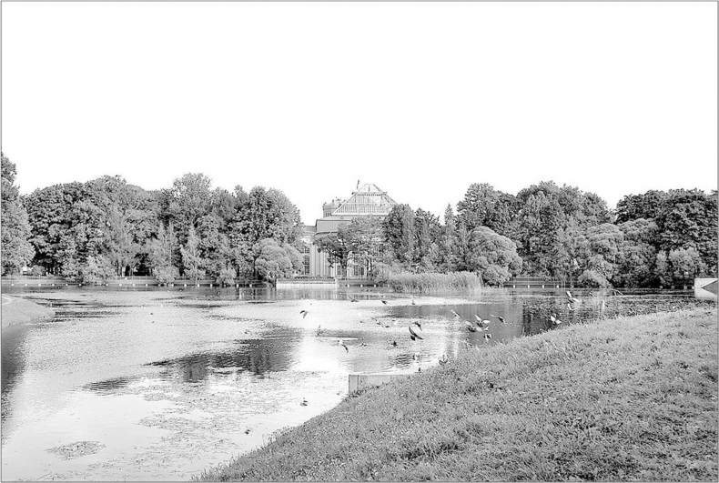 Иллюстрация к книге — Вокруг Знаменской площади. История застройки площади Восстания, Лиговского канала, улиц Восстания и Пушкинской [i_031.jpg]