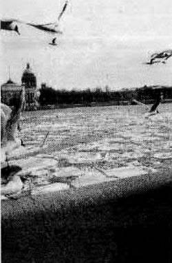 Иллюстрация к книге — История петербургских районов [_004.jpg]