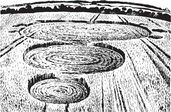 Иллюстрация к книге — Загадки и тайны науки [i_006.jpg]