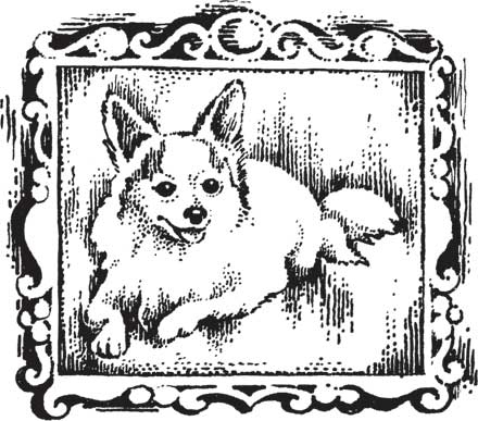 Иллюстрация к книге — Загадки и тайны науки [i_020.jpg]