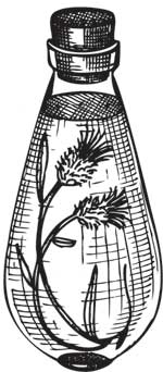 Иллюстрация к книге — Загадки и тайны науки [i_053.jpg]