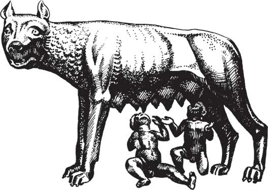 Иллюстрация к книге — Загадки и тайны науки [i_058.jpg]