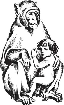 Иллюстрация к книге — Загадки и тайны науки [i_059.jpg]