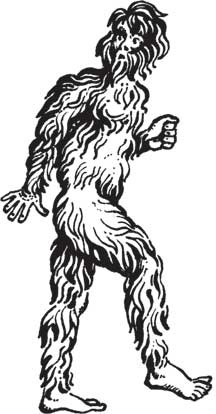 Иллюстрация к книге — Загадки и тайны науки [i_078.jpg]