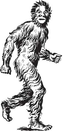 Иллюстрация к книге — Загадки и тайны науки [i_079.jpg]