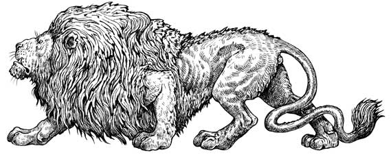 Иллюстрация к книге — Загадки и тайны науки [i_094.jpg]