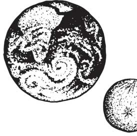 Иллюстрация к книге — Загадки и тайны науки [i_107.jpg]