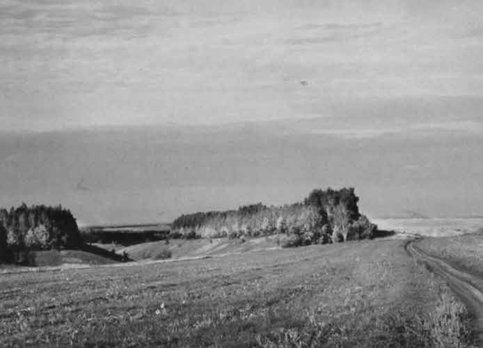 Иллюстрация к книге — Станкевич [i_080.jpg]