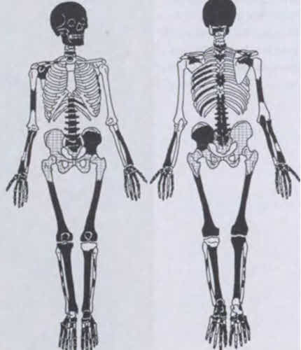 Иллюстрация к книге — Николай Чудотворец [i_060.jpg]