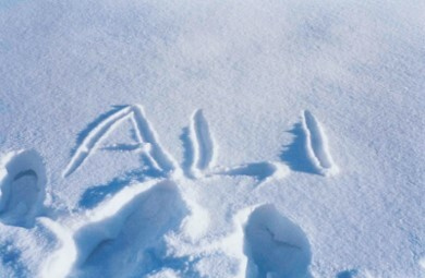 Иллюстрация к книге — Will. Чему может научить нас простой парень, ставший самым высокооплачиваемым актером Голливуда [i_044.jpg]