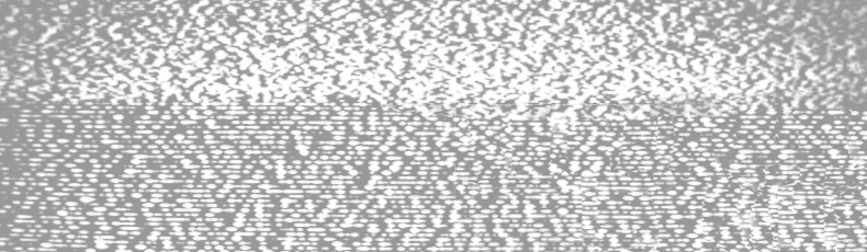 Иллюстрация к книге — Пять ночей у Фредди: Ужасы Фазбера. В бассейн! [i_004.jpg]