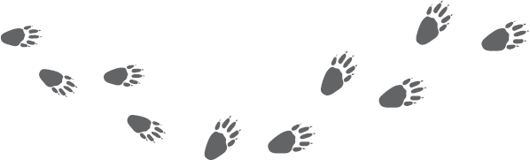 Иллюстрация к книге — Не психуй! Забей на тревогу [i_002.jpg]