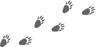 Иллюстрация к книге — Не психуй! Забей на тревогу [i_017.jpg]