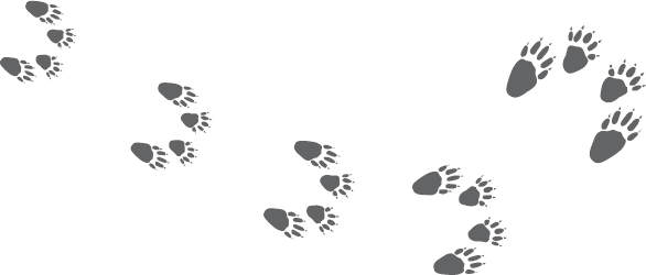 Иллюстрация к книге — Не психуй! Забей на тревогу [i_022.jpg]