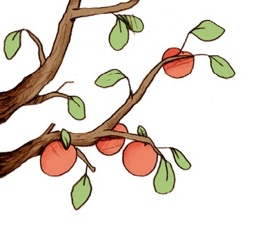 Иллюстрация к книге — День экспериментов бабушки Хильды [i_001.jpg]