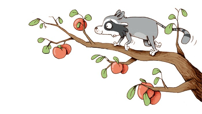 Иллюстрация к книге — День экспериментов бабушки Хильды [i_003.jpg]