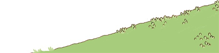 Иллюстрация к книге — День экспериментов бабушки Хильды [i_004.jpg]