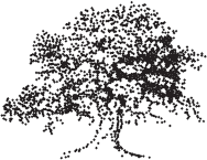 Иллюстрация к книге — Идиот или гений? Как работает и на что способен искусственный интеллект [i_001.jpg]