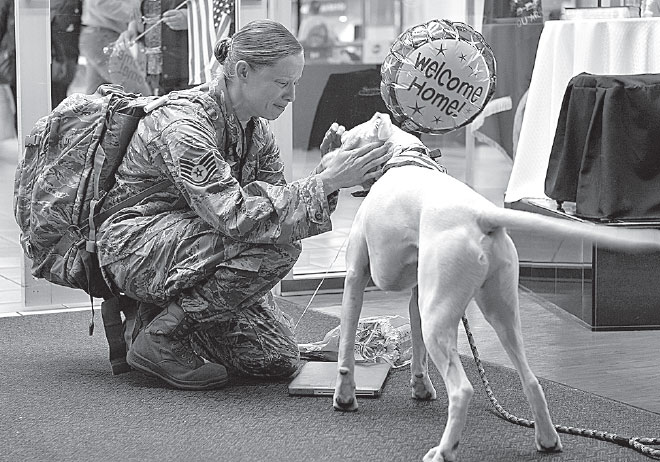 Иллюстрация к книге — Идиот или гений? Как работает и на что способен искусственный интеллект [i_007.jpg]